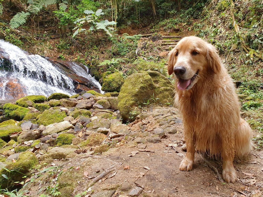 Walter sentado ao lado de uma cachoeira